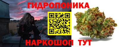 ПСИЛОЦИБИНОВЫЕ ГРИБЫ Тара