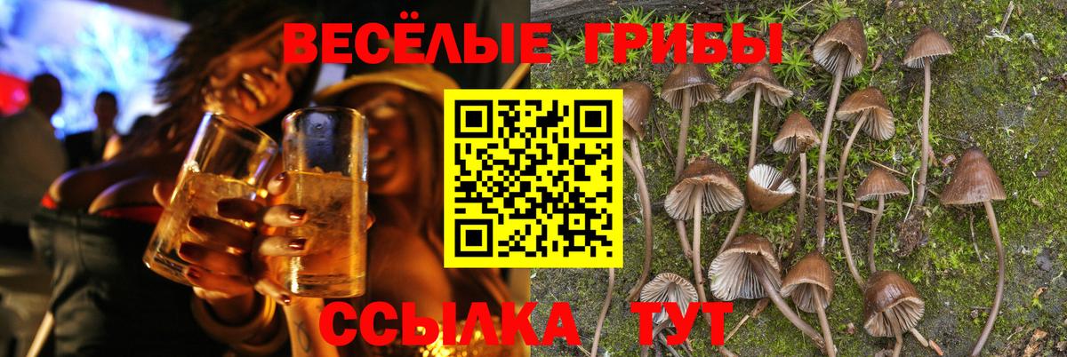 Галлюциногенные грибы ЛСД Новоалтайск